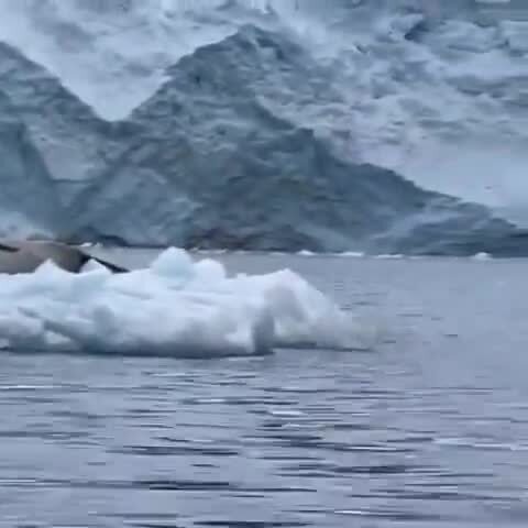 Здрасьте