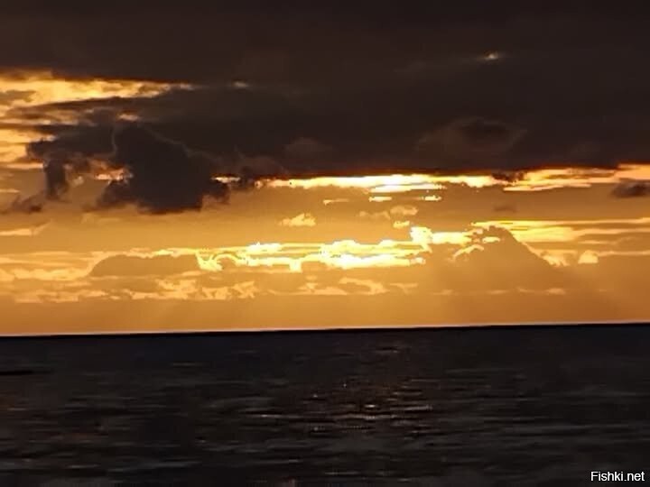 не фотошоп, вчера фоткал