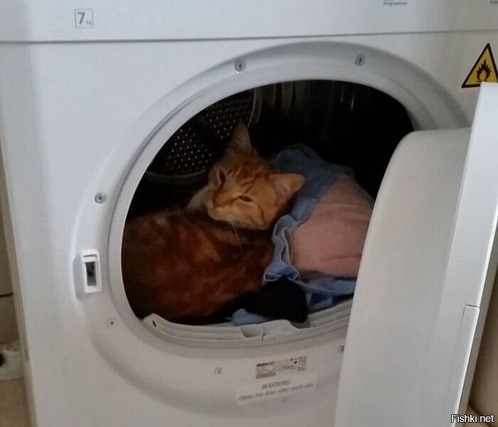 Спокойной ночи