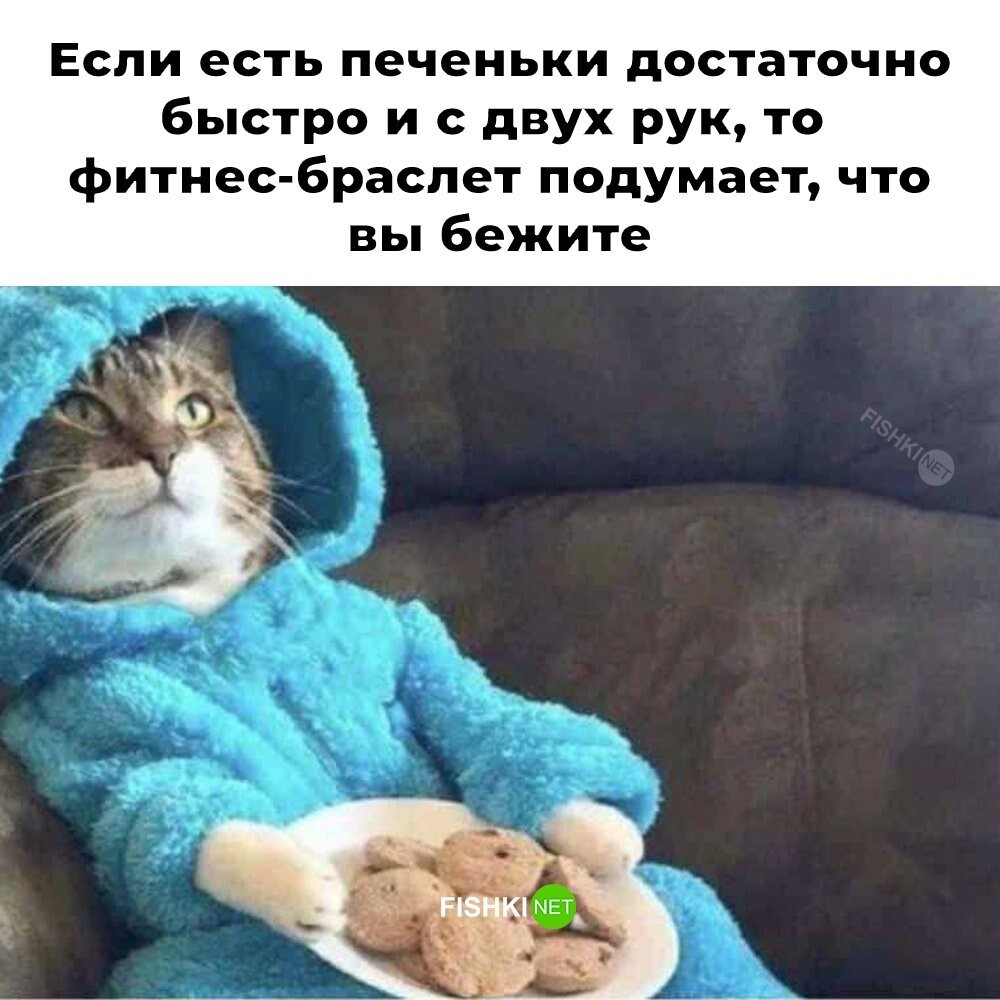 Не ищите здесь смысл. Здесь в основном маразм