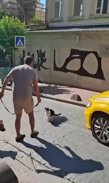 И пусть весь мир подождёт
