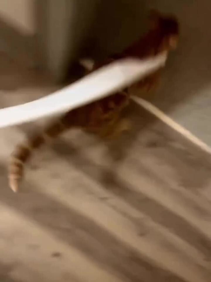 Мне это срочно нужно