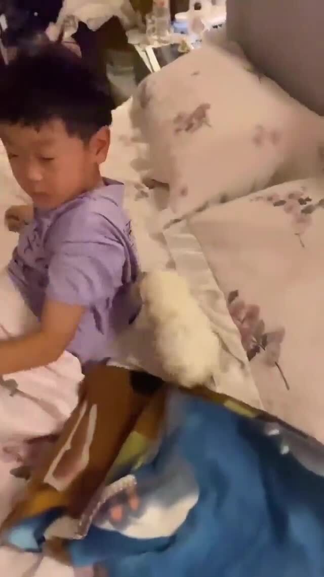 Какие эмоции