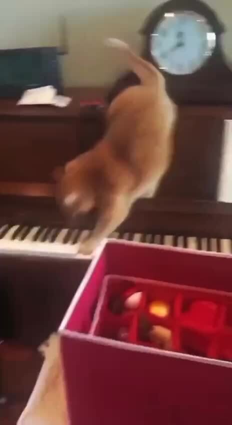 Хорошо сыграно)