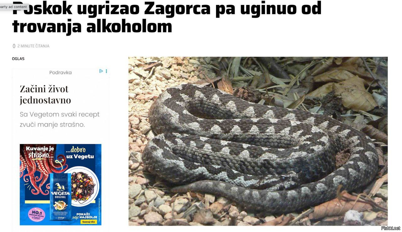 В Хорватии ядовитая гадюка укусила туриста и мгновенно умерла из-за чрезмерно...