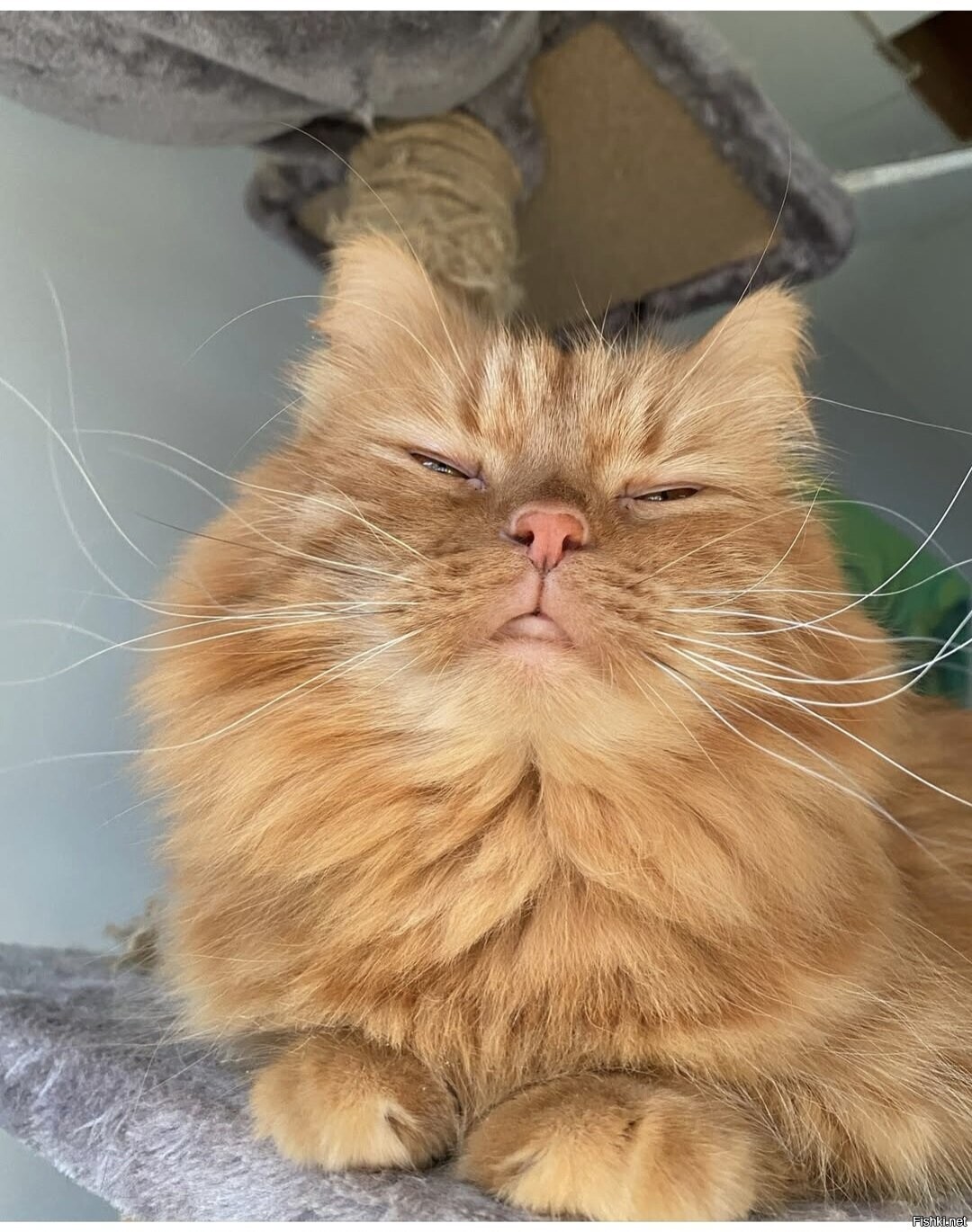 Доброе утро