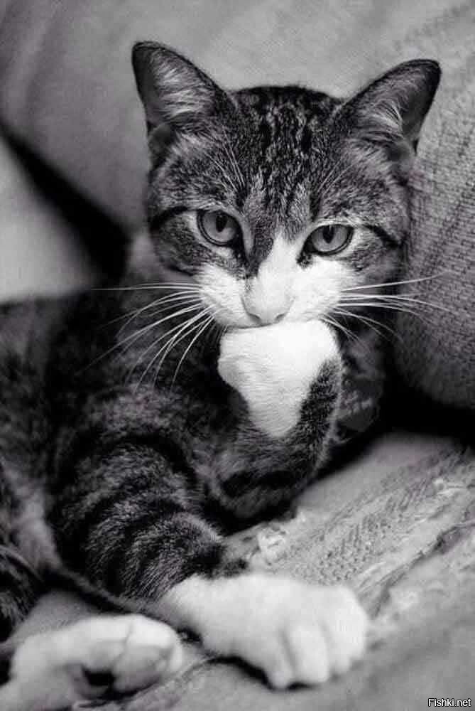 Надо подумать)