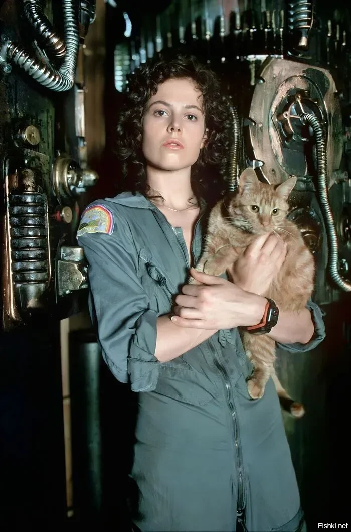 Сегодня 76 лет исполнилось Сьюзен Александре Уивер, более известной как Сигур...