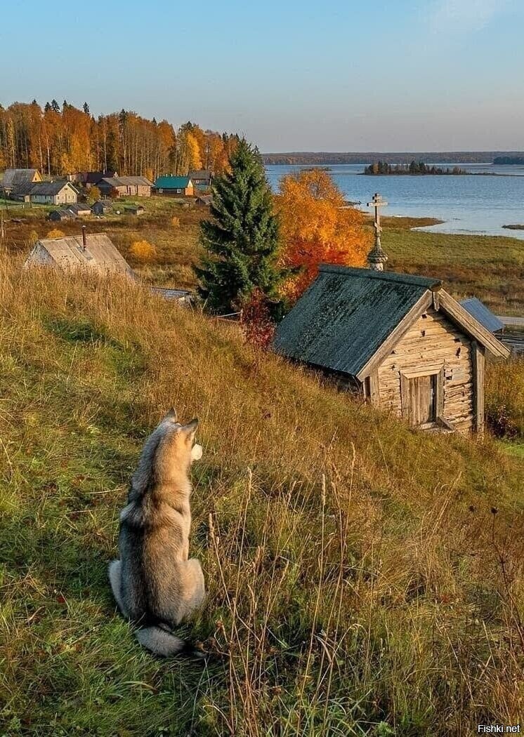 Солянка