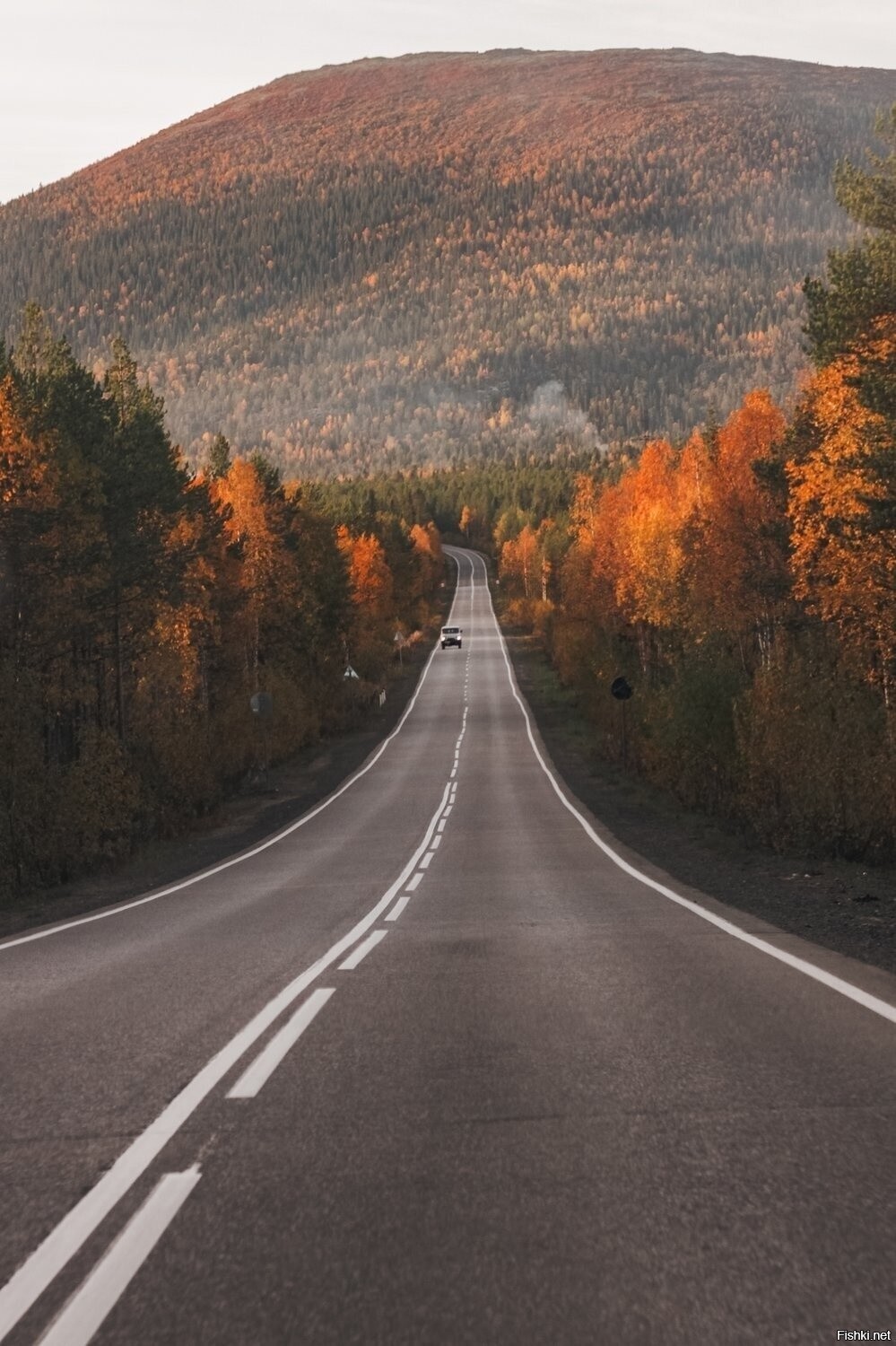 Осенняя дорога из Колвицы в Кандалакшу, Мурманская область