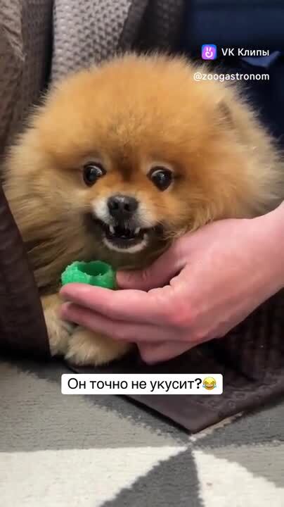 Обидеть маленького может каждый