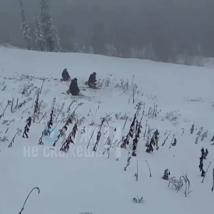 Рабочих с горнолыжного курорта Шерегеш застали за покосом снега