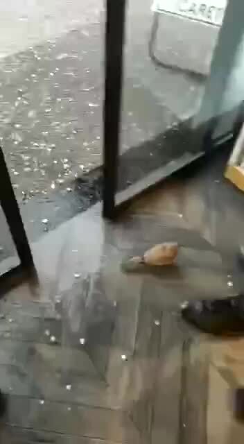 Убежище для всех