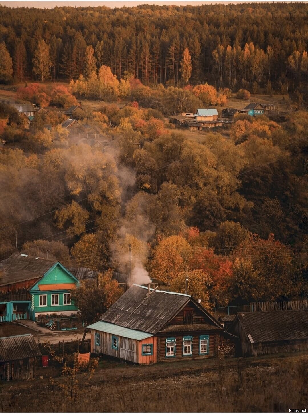 Солянка