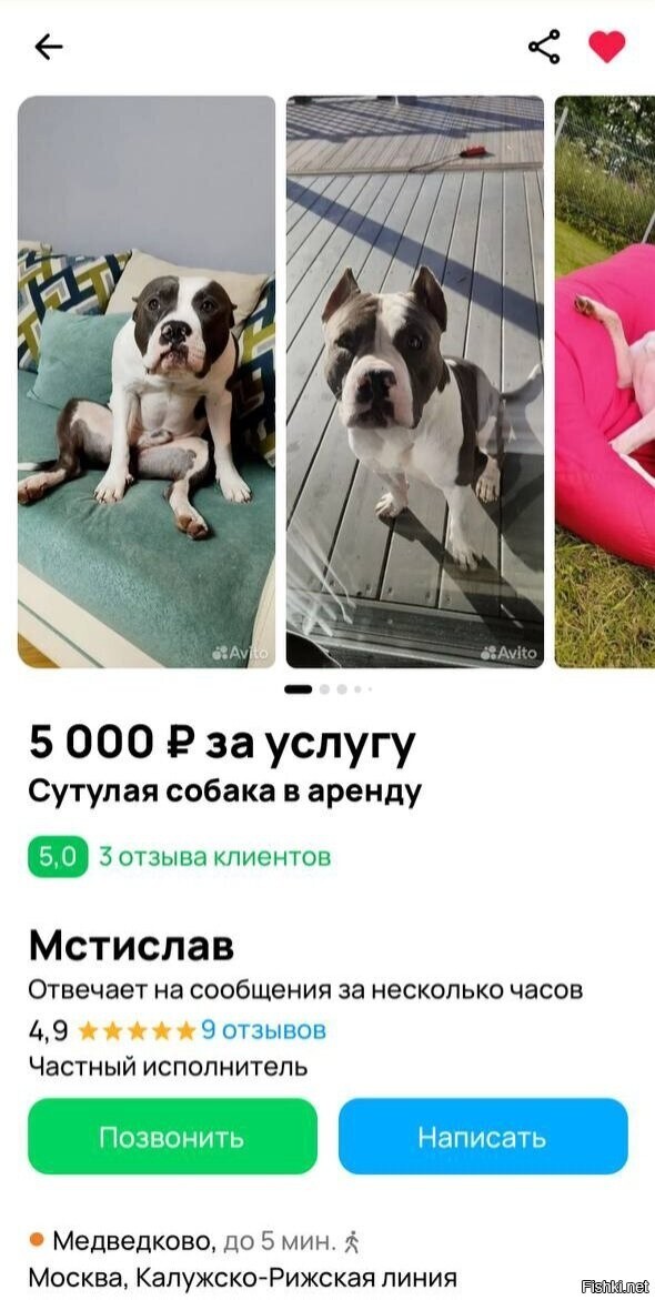 Ну, извините