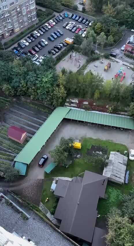 Не растерялись