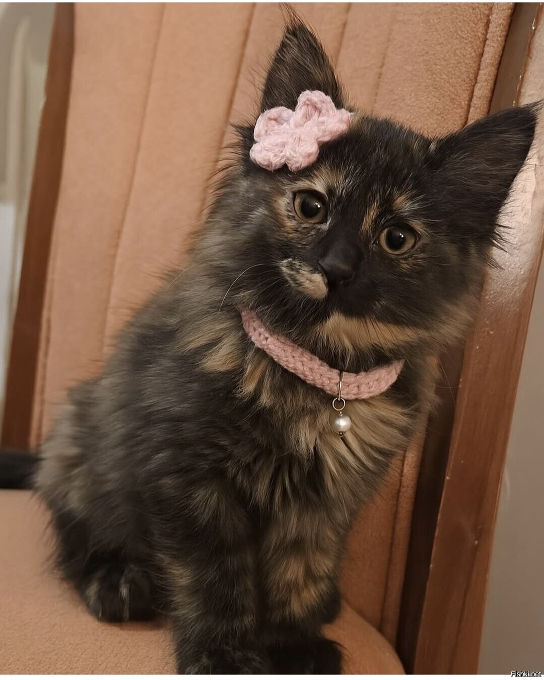 Доброе утро