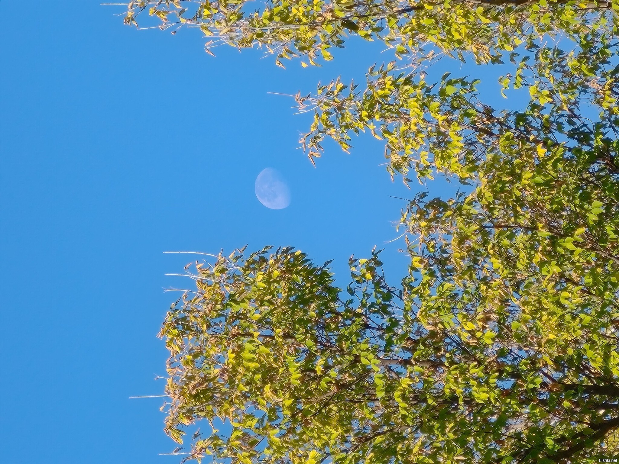 Луна прям сейчас в 09-09