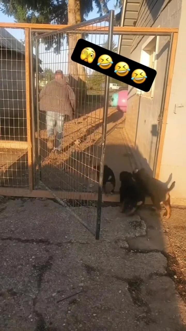 Судьба против)