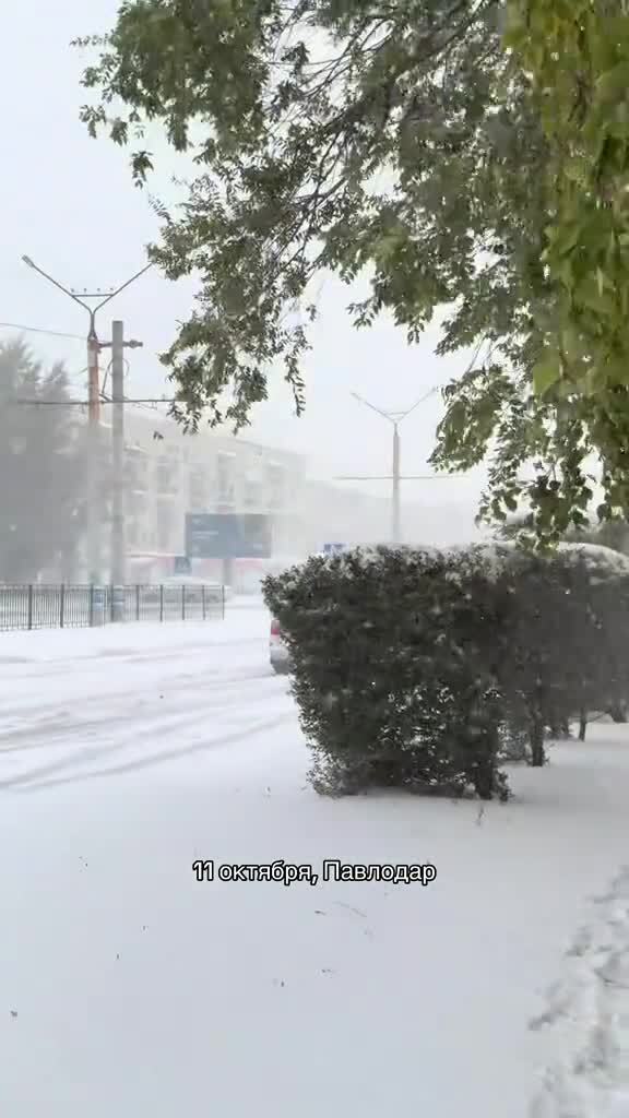снег в Павлодаре