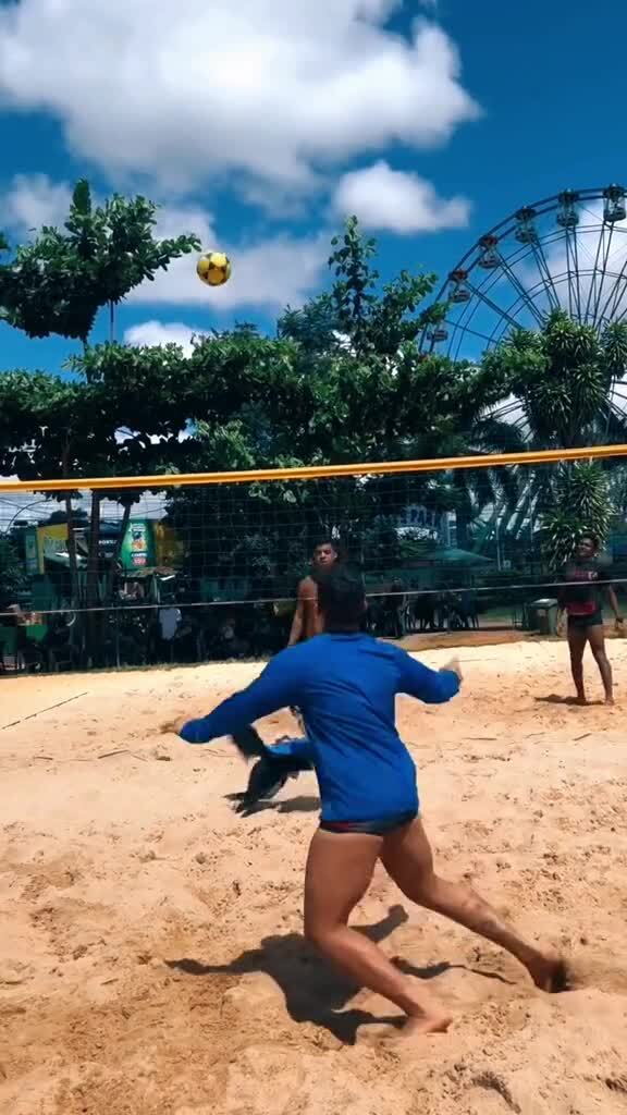 Пёс понял, что выигрывают