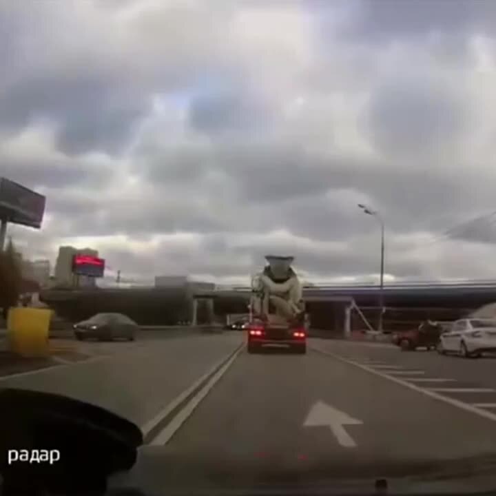 Сюрприз так сюрприз