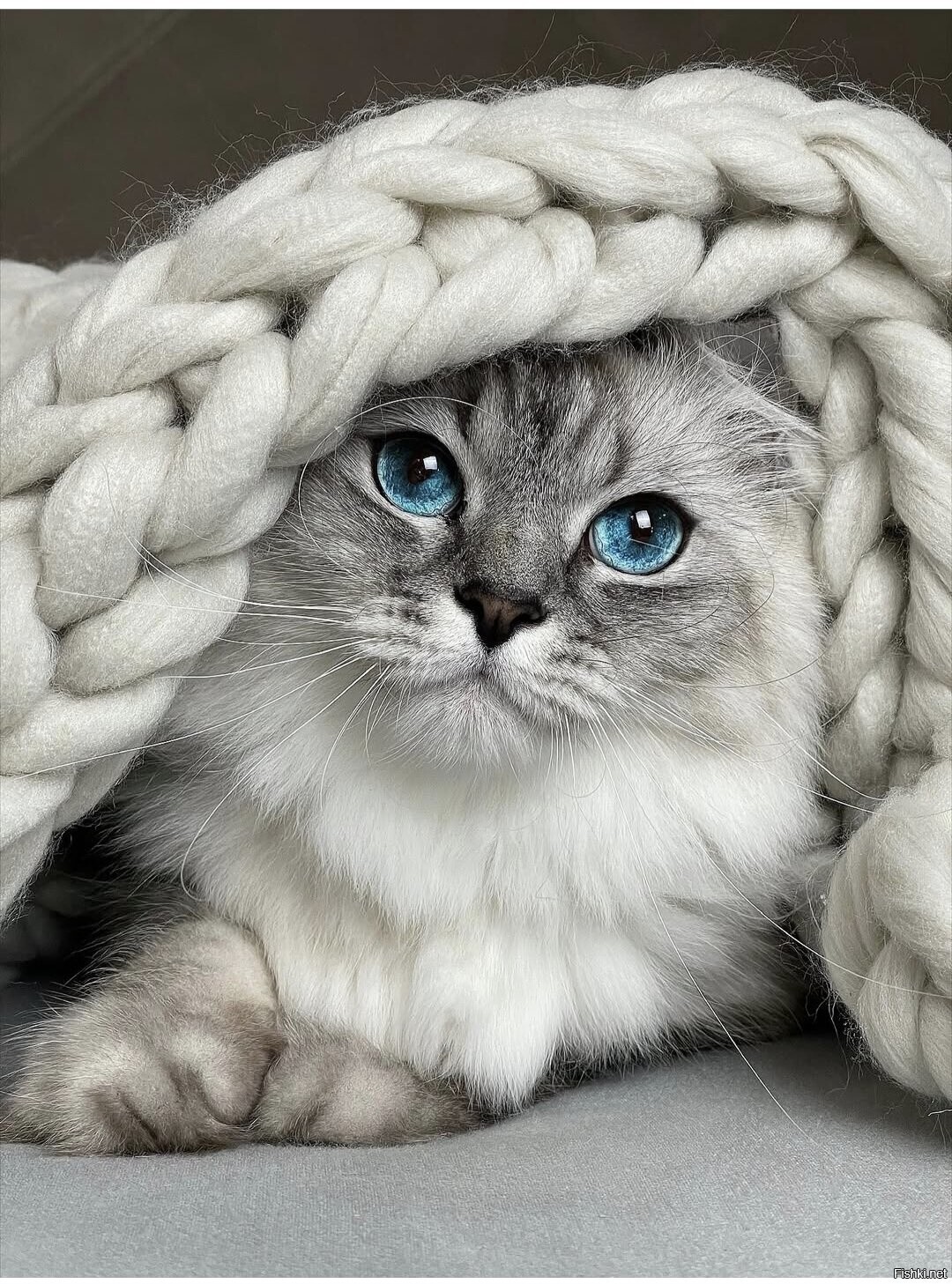 Доброе утро