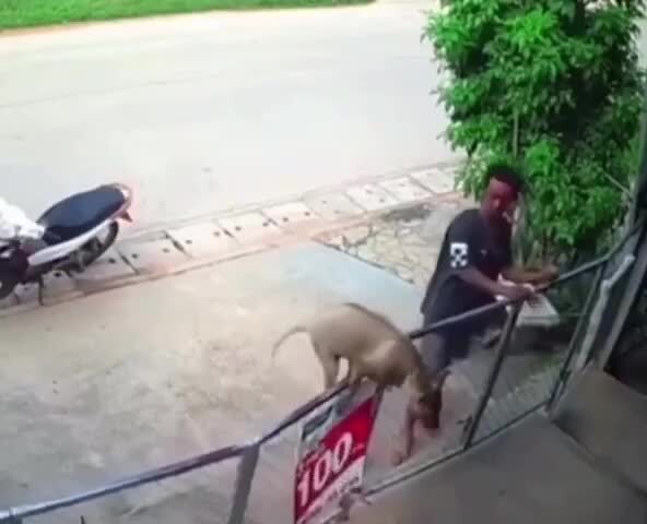 Моя территория )))