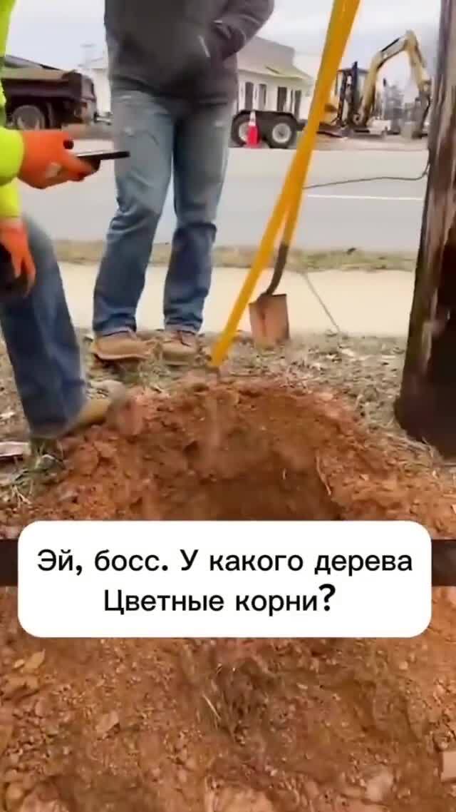 Добурились &quot;дебилы&quot; 