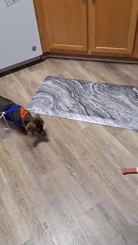 Обманывают пëселя