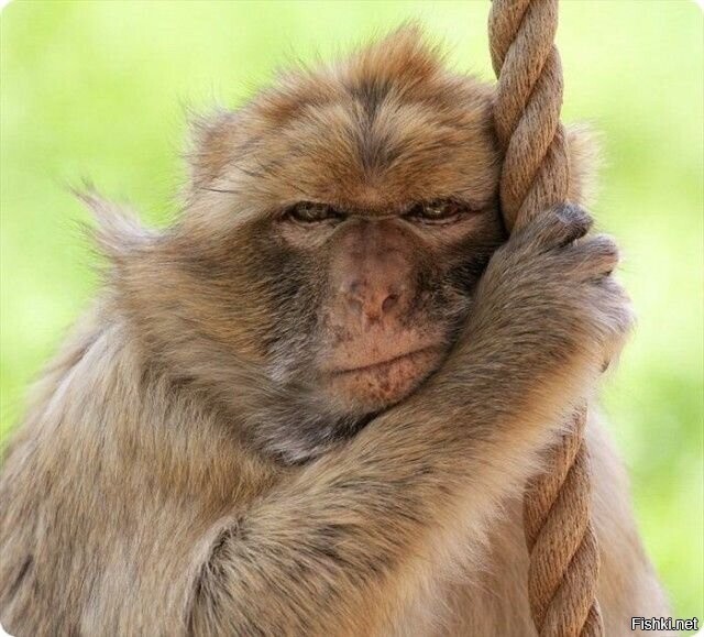 Завтра понедельник