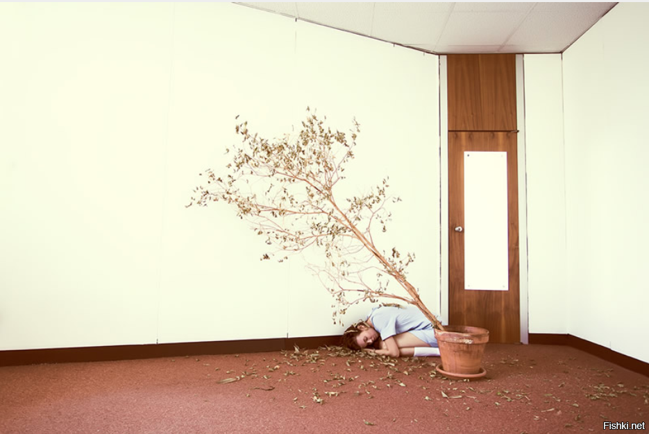 Осталось всего восемь лет до конца выплат по ипотеке за квартиру