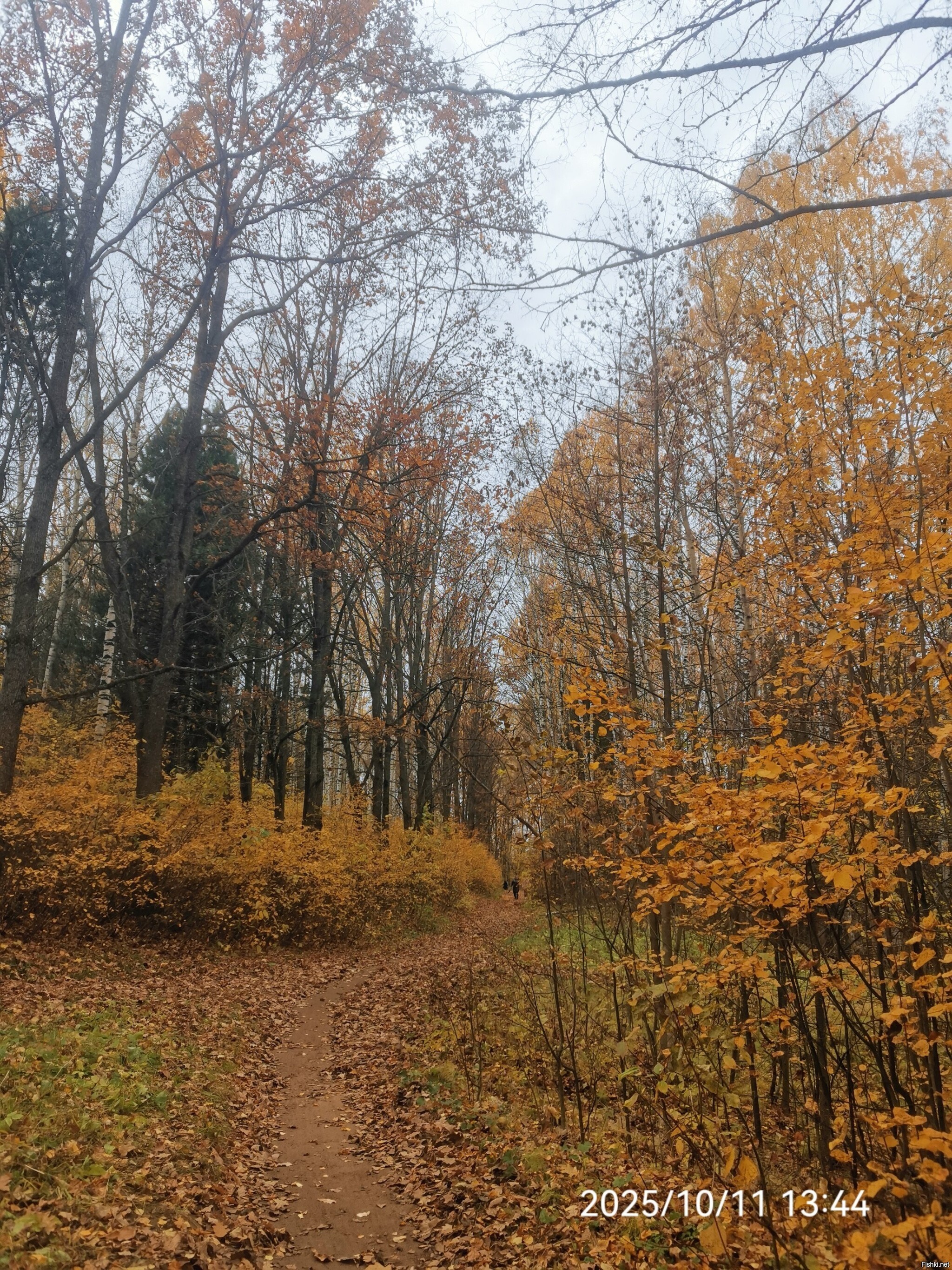 Кировский дендропарк