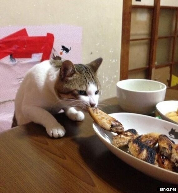 Солянка