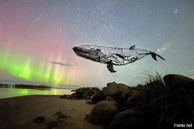 На берегу Онеги