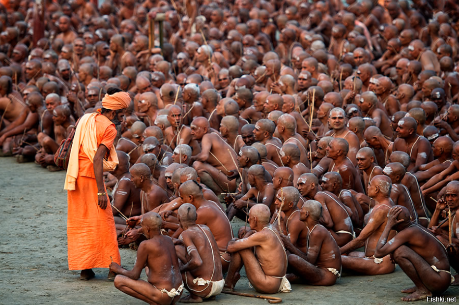 Встреча народного депутата со своим электоратом после выборов