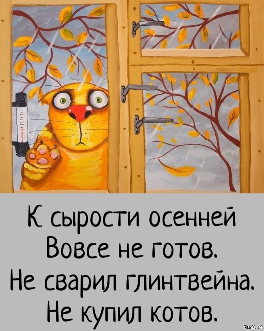 Вот так всегда