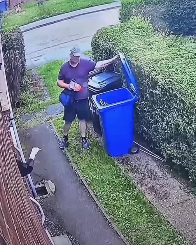 Когда футбол — твоё призвание)