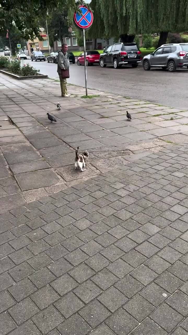 Опасный типок растет