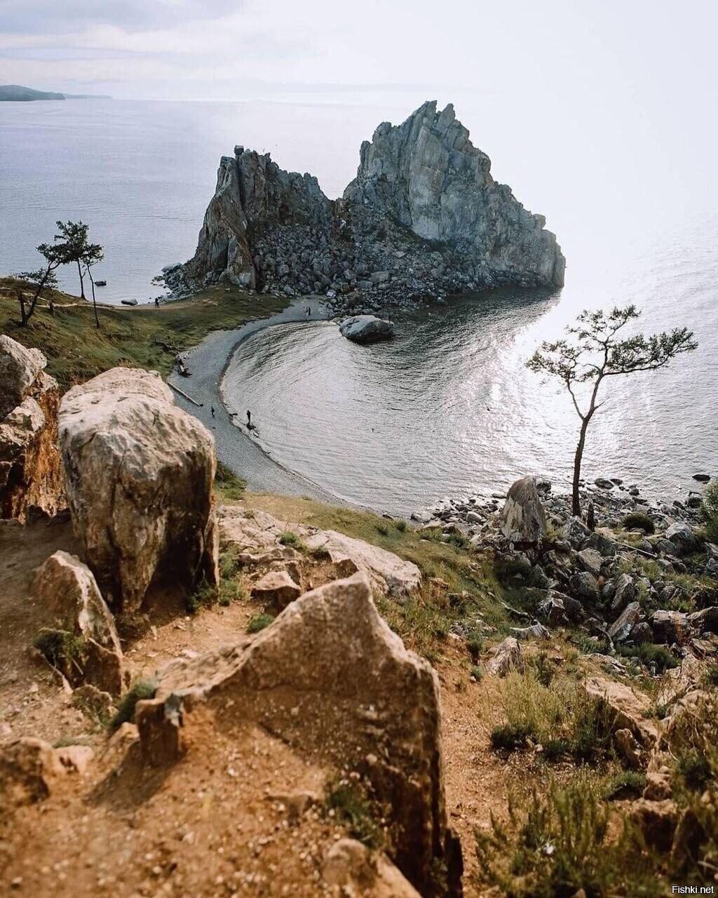 Солянка