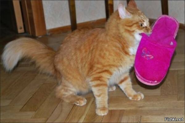 - Я в туалет