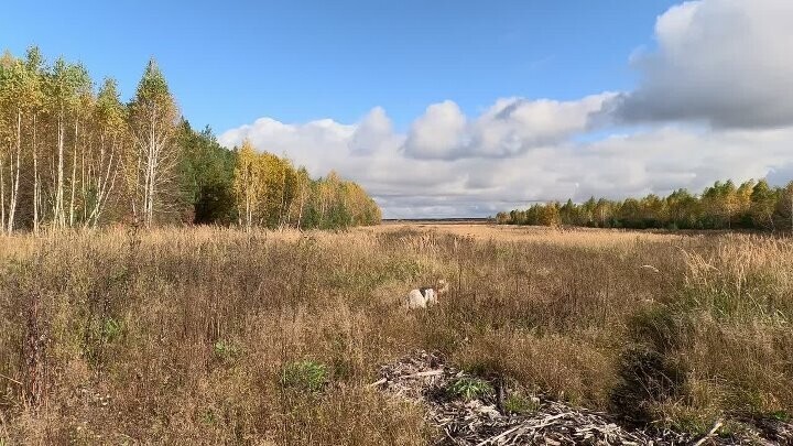 Осень однако (: Всем привет