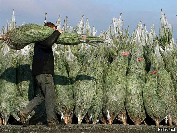 Скоро Новый год