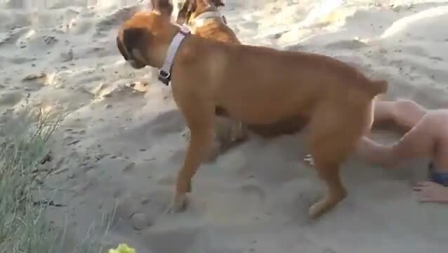 Доигралась