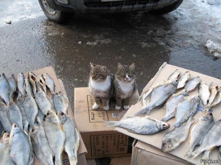 Продавцы из Карелии