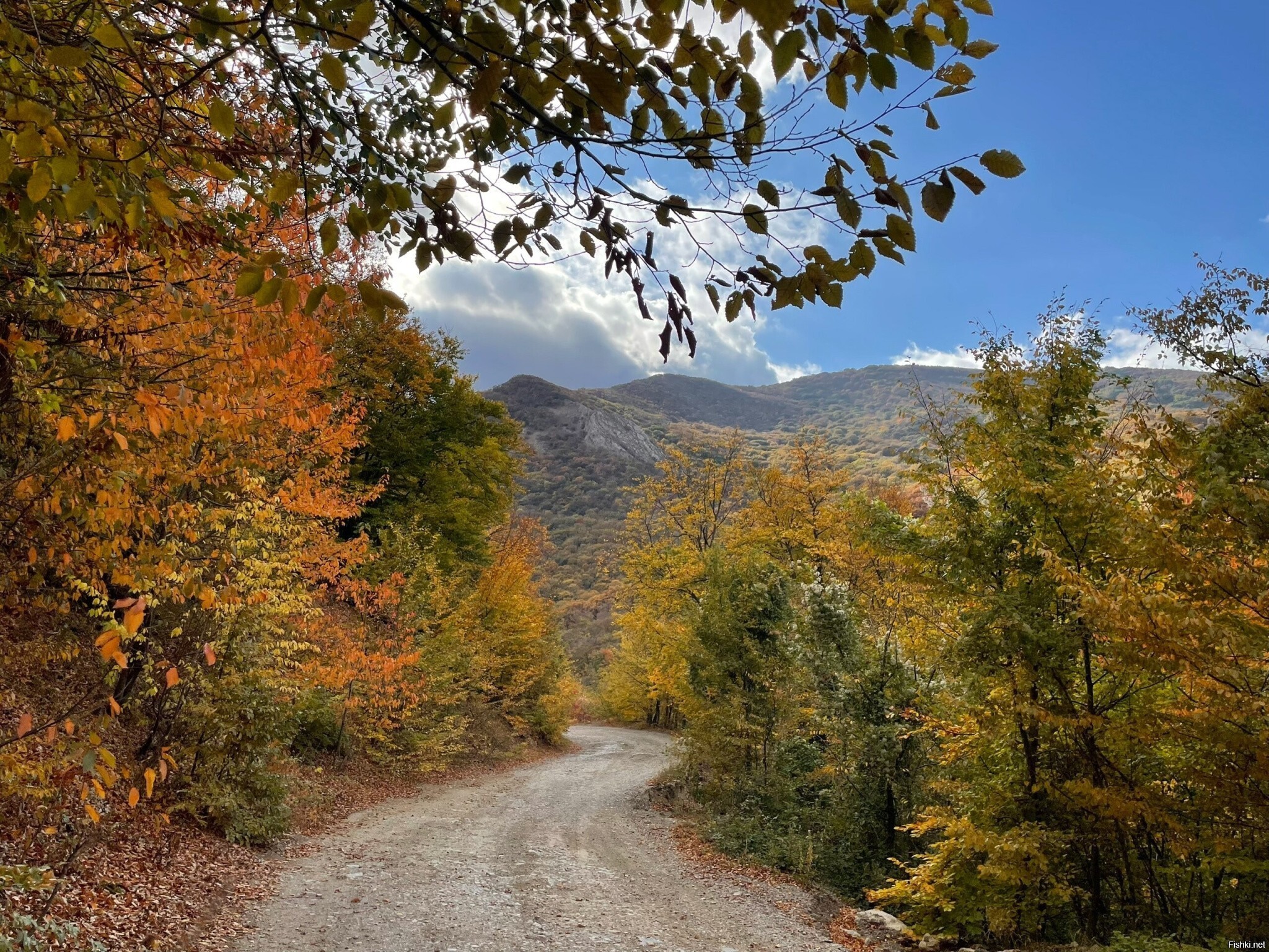 Осенними дорогами Крыма