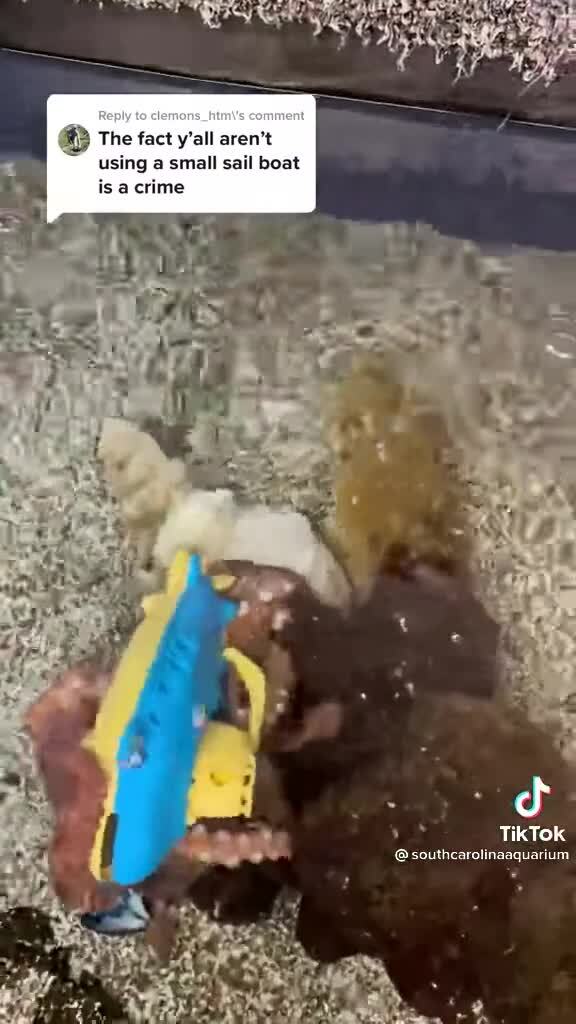 Детство кракена