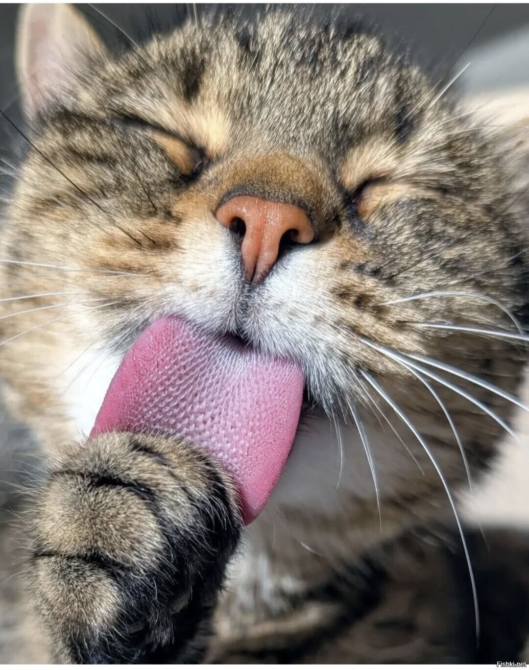 Доброе утро