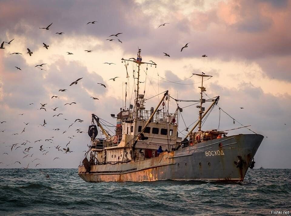 Завтра четверг-рыбный день