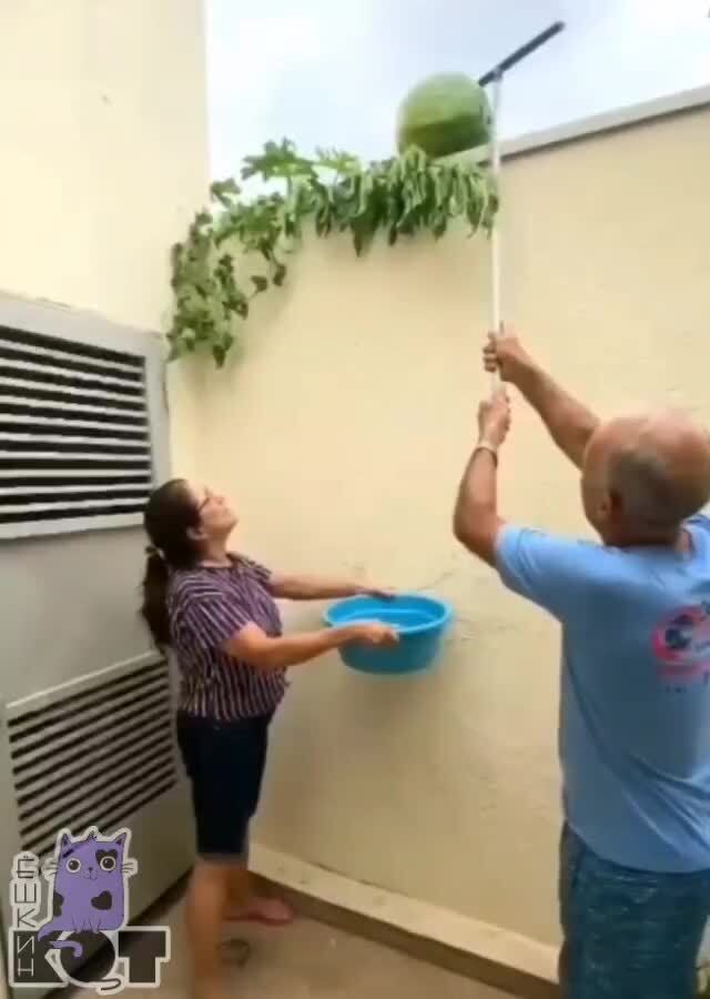 Мозгов НЕТ, считай &quot;калека&quot; 